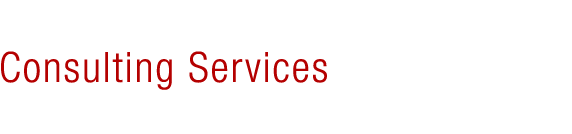 Consulting Services